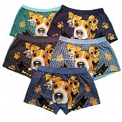 �����-������� �� ��������� 